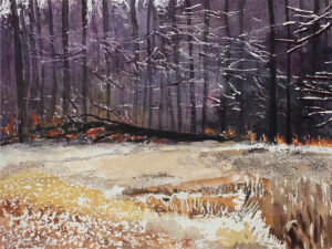 Bosque seco