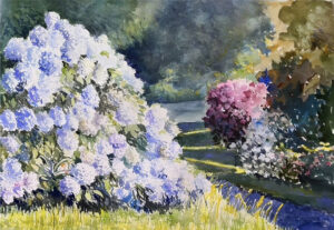 Hortensias