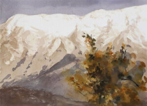 Precordillera al atardecer